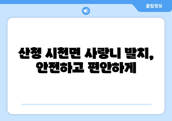 경상남도 산청군 시천면 사랑니 치과 매복 발치 잘하는 곳 비용 | 후기 | 추천