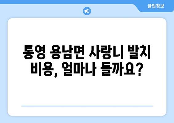 경상남도 통영시 용남면 사랑니 치과 매복 발치 잘하는 곳 비용 | 후기 | 추천