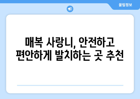 울산시 동구 남목3동 사랑니 치과 매복 발치 잘하는 곳 비용 | 후기 | 추천