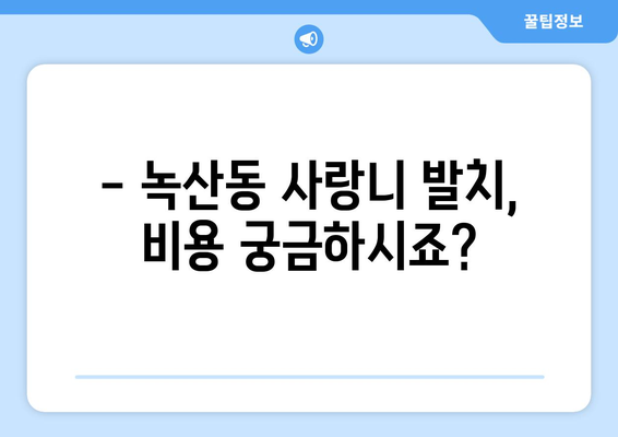 부산시 강서구 녹산동 사랑니 치과 매복 발치 잘하는 곳 비용 | 후기 | 추천