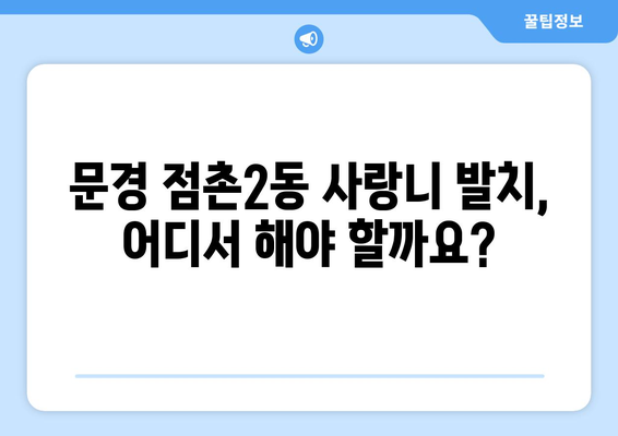경상북도 문경시 점촌2동 사랑니 치과 매복 발치 잘하는 곳 비용 | 후기 | 추천