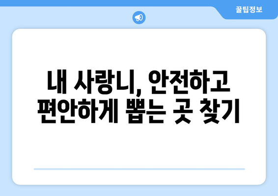 충청북도 청주시 상당구 영동 사랑니 치과 매복 발치 잘하는 곳 비용 | 후기 | 추천