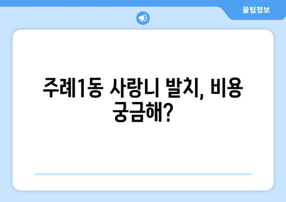 부산시 사상구 주례1동 사랑니 치과 매복 발치 잘하는 곳 비용 | 후기 | 추천