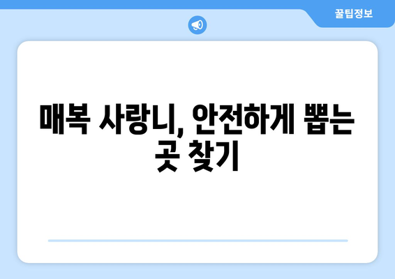 부산시 남구 용호3동 사랑니 치과 매복 발치 잘하는 곳 비용 | 후기 | 추천