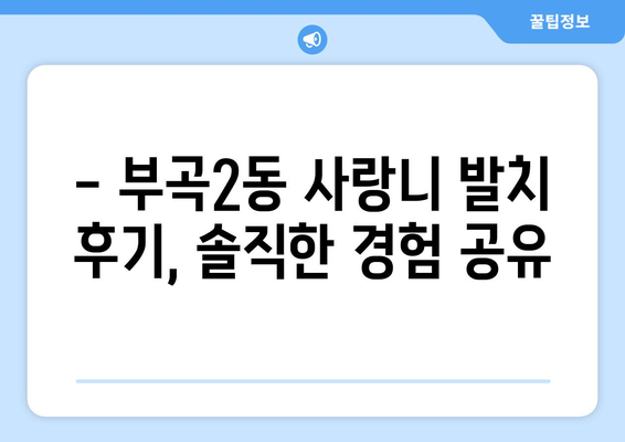 부산시 금정구 부곡2동 사랑니 치과 매복 발치 잘하는 곳 비용 | 후기 | 추천
