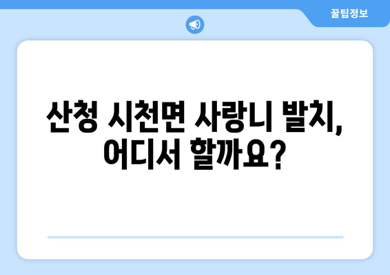경상남도 산청군 시천면 사랑니 치과 매복 발치 잘하는 곳 비용 | 후기 | 추천