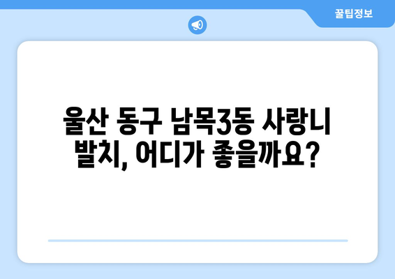 울산시 동구 남목3동 사랑니 치과 매복 발치 잘하는 곳 비용 | 후기 | 추천