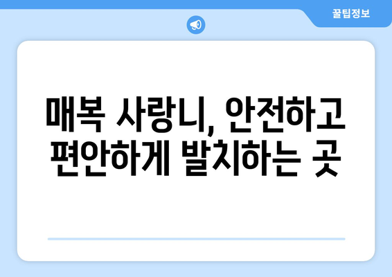 경상북도 청송군 안덕면 사랑니 치과 매복 발치 잘하는 곳 비용 | 후기 | 추천