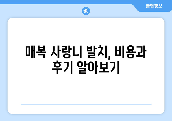 전라남도 완도군 고금면 사랑니 치과 매복 발치 잘하는 곳 비용 | 후기 | 추천