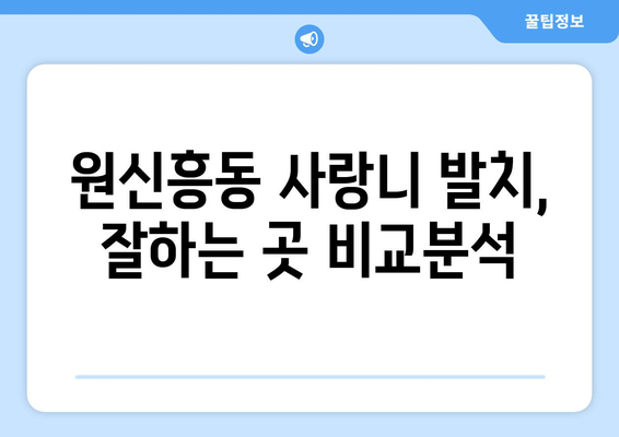 대전시 유성구 원신흥동 사랑니 치과 매복 발치 잘하는 곳 비용 | 후기 | 추천