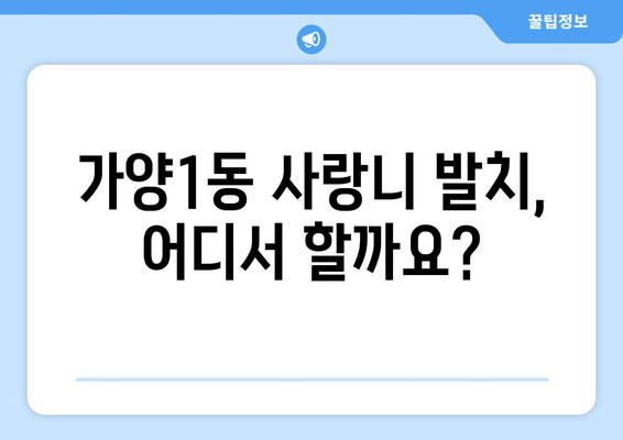 대전시 동구 가양1동 사랑니 치과 매복 발치 잘하는 곳 비용 | 후기 | 추천