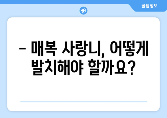 부산시 연제구 거제1동 사랑니 치과 매복 발치 잘하는 곳 비용 | 후기 | 추천