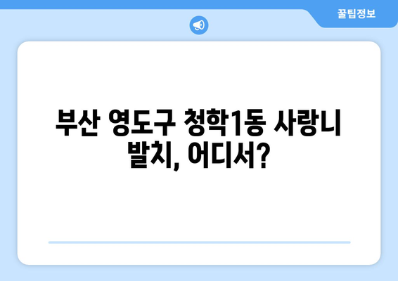 부산시 영도구 청학1동 사랑니 치과 매복 발치 잘하는 곳 비용 | 후기 | 추천
