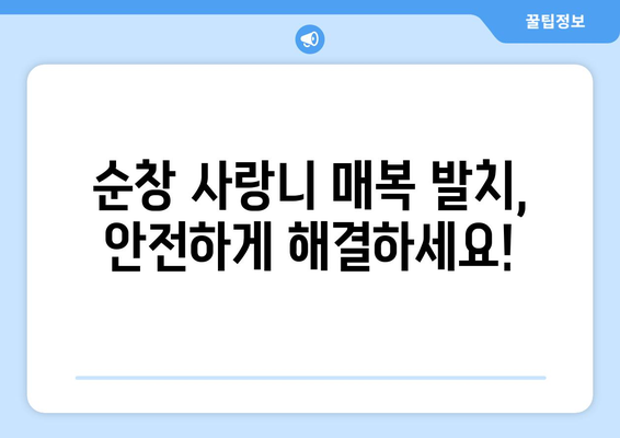 전라북도 순창군 순창읍 사랑니 치과 매복 발치 잘하는 곳 비용 | 후기 | 추천