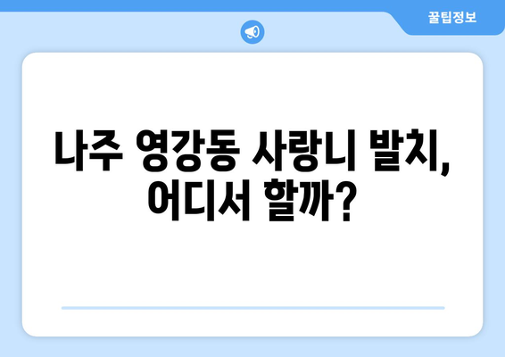 전라남도 나주시 영강동 사랑니 치과 매복 발치 잘하는 곳 비용 | 후기 | 추천