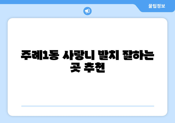 부산시 사상구 주례1동 사랑니 치과 매복 발치 잘하는 곳 비용 | 후기 | 추천