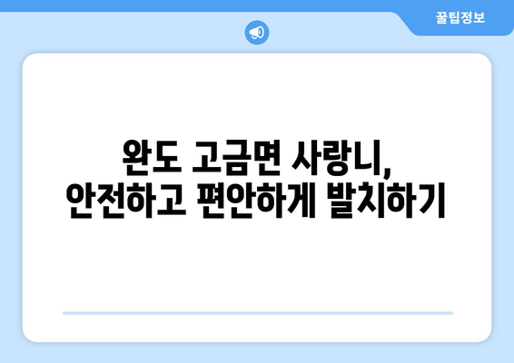 전라남도 완도군 고금면 사랑니 치과 매복 발치 잘하는 곳 비용 | 후기 | 추천