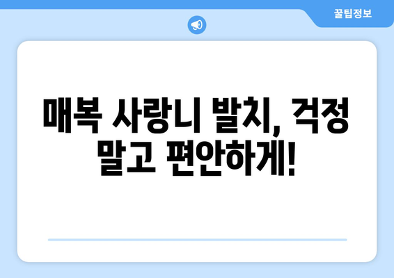 서울시 광진구 자양제1동 사랑니 치과 매복 발치 잘하는 곳 비용 | 후기 | 추천