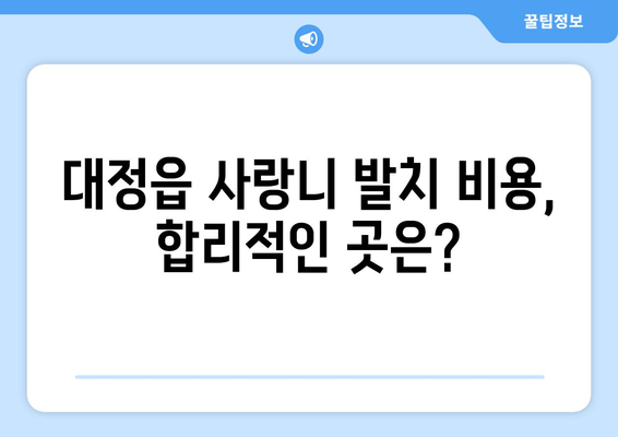 제주도 서귀포시 대정읍 사랑니 치과 매복 발치 잘하는 곳 비용 | 후기 | 추천