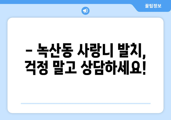 부산시 강서구 녹산동 사랑니 치과 매복 발치 잘하는 곳 비용 | 후기 | 추천
