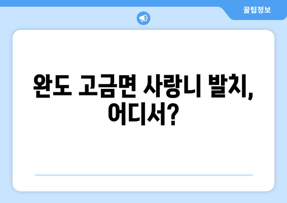전라남도 완도군 고금면 사랑니 치과 매복 발치 잘하는 곳 비용 | 후기 | 추천