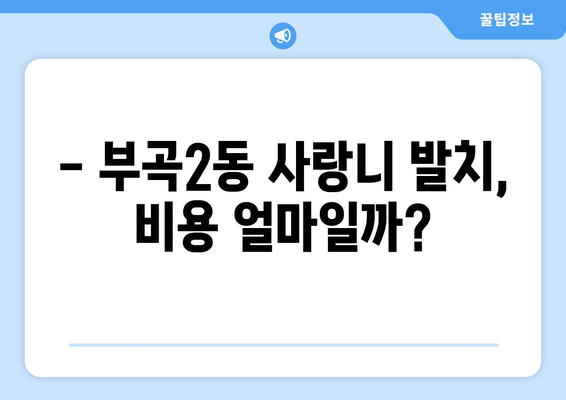 부산시 금정구 부곡2동 사랑니 치과 매복 발치 잘하는 곳 비용 | 후기 | 추천