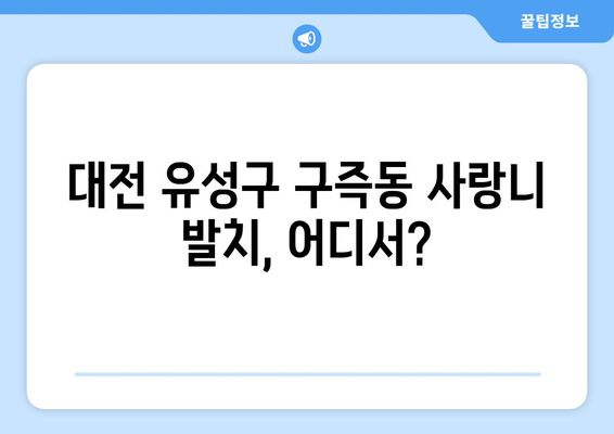 대전시 유성구 구즉동 사랑니 치과 매복 발치 잘하는 곳 비용 | 후기 | 추천