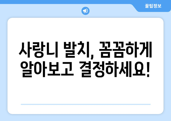 강원도 양양군 손양면 사랑니 치과 매복 발치 잘하는 곳 비용 | 후기 | 추천