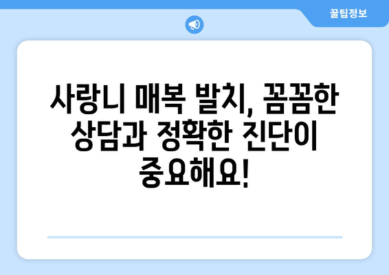 충청북도 청주시 상당구 영동 사랑니 치과 매복 발치 잘하는 곳 비용 | 후기 | 추천