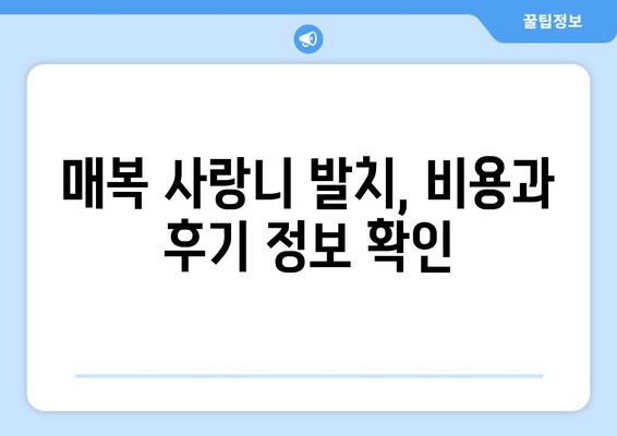 강원도 홍천군 화촌면 사랑니 치과 매복 발치 잘하는 곳 비용 | 후기 | 추천