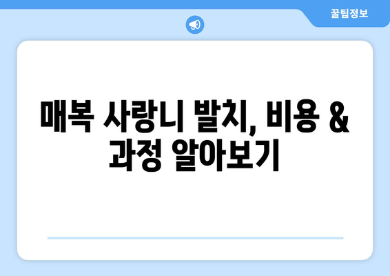 경상남도 합천군 가회면 사랑니 치과 매복 발치 잘하는 곳 비용 | 후기 | 추천