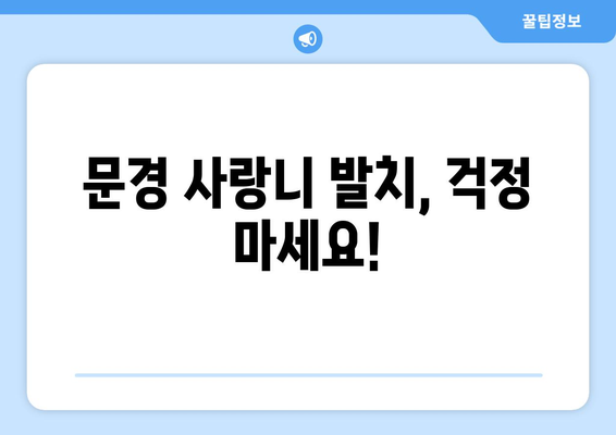 경상북도 문경시 점촌2동 사랑니 치과 매복 발치 잘하는 곳 비용 | 후기 | 추천