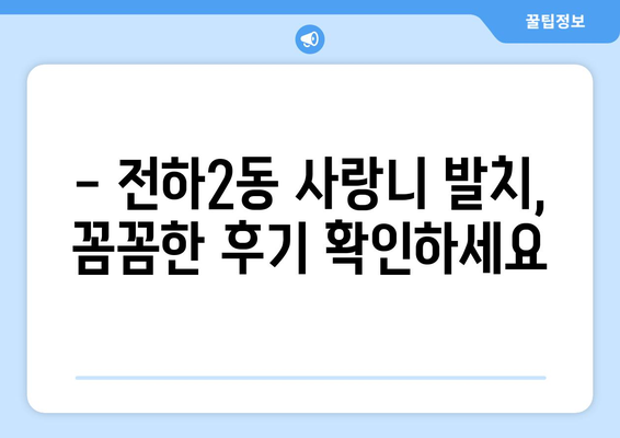 울산시 동구 전하2동 사랑니 치과 매복 발치 잘하는 곳 비용 | 후기 | 추천