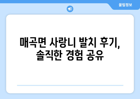 충청북도 영동군 매곡면 사랑니 치과 매복 발치 잘하는 곳 비용 | 후기 | 추천