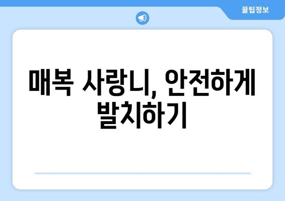 충청북도 영동군 매곡면 사랑니 치과 매복 발치 잘하는 곳 비용 | 후기 | 추천