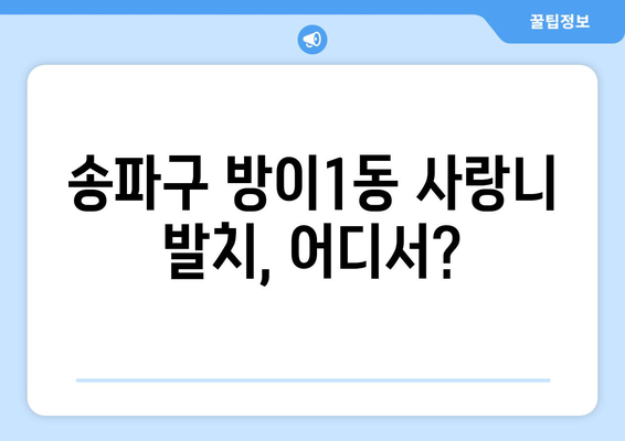 서울시 송파구 방이1동 사랑니 치과 매복 발치 잘하는 곳 비용 | 후기 | 추천