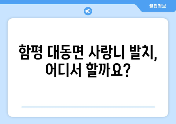 전라남도 함평군 대동면 사랑니 치과 매복 발치 잘하는 곳 비용 | 후기 | 추천