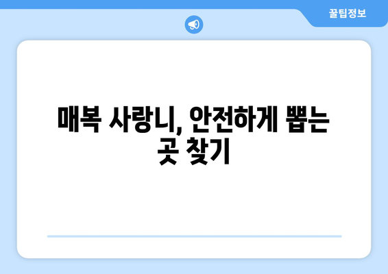 전라남도 영암군 삼호읍 사랑니 치과 매복 발치 잘하는 곳 비용 | 후기 | 추천