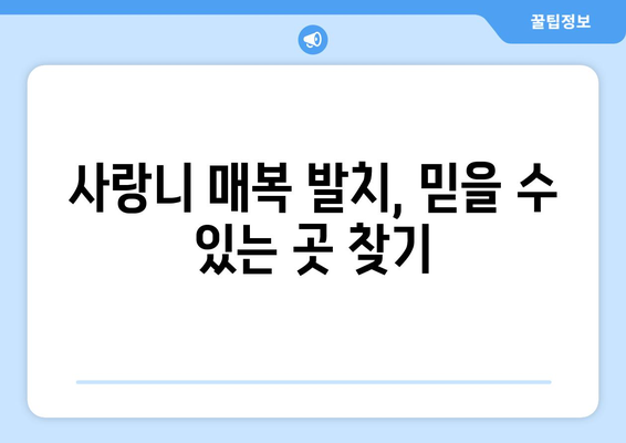 경기도 광주시 남한산성면 사랑니 치과 매복 발치 잘하는 곳 비용 | 후기 | 추천