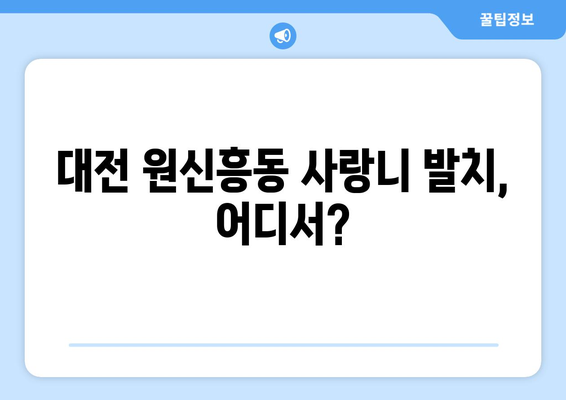 대전시 유성구 원신흥동 사랑니 치과 매복 발치 잘하는 곳 비용 | 후기 | 추천