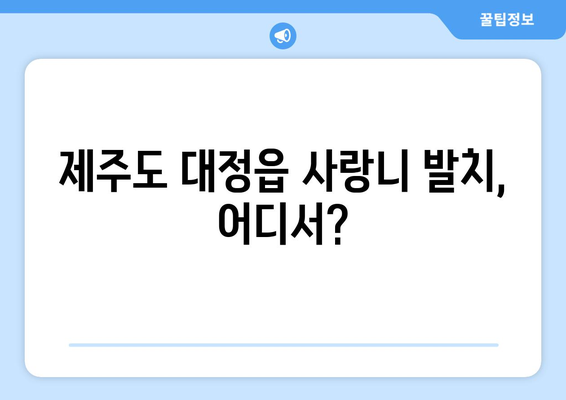 제주도 서귀포시 대정읍 사랑니 치과 매복 발치 잘하는 곳 비용 | 후기 | 추천