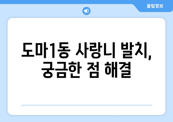 대전시 서구 도마1동 사랑니 치과 매복 발치 잘하는 곳 비용 | 후기 | 추천