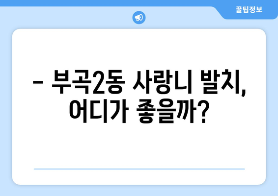 부산시 금정구 부곡2동 사랑니 치과 매복 발치 잘하는 곳 비용 | 후기 | 추천
