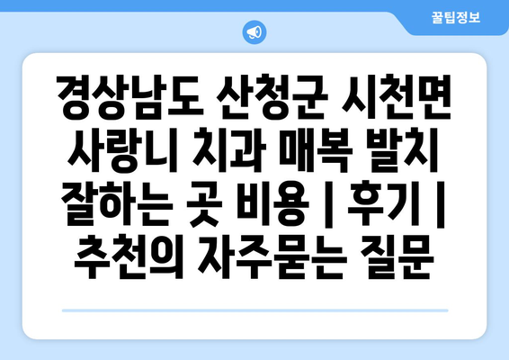 경상남도 산청군 시천면 사랑니 치과 매복 발치 잘하는 곳 비용 | 후기 | 추천