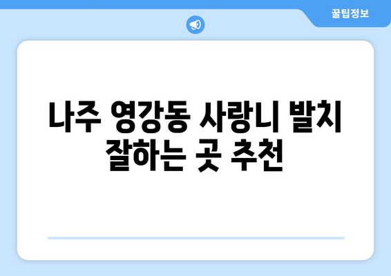 전라남도 나주시 영강동 사랑니 치과 매복 발치 잘하는 곳 비용 | 후기 | 추천
