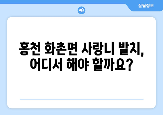 강원도 홍천군 화촌면 사랑니 치과 매복 발치 잘하는 곳 비용 | 후기 | 추천