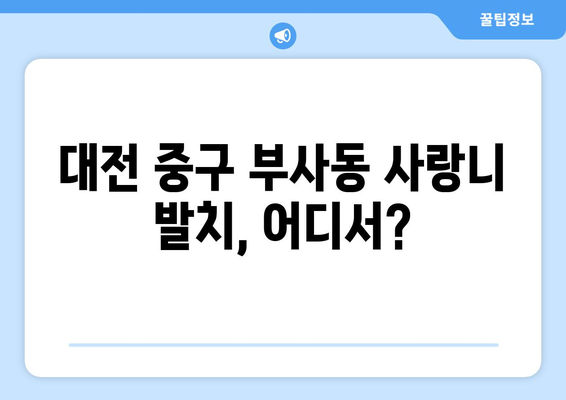 대전시 중구 부사동 사랑니 치과 매복 발치 잘하는 곳 비용 | 후기 | 추천