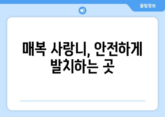 대전시 중구 부사동 사랑니 치과 매복 발치 잘하는 곳 비용 | 후기 | 추천