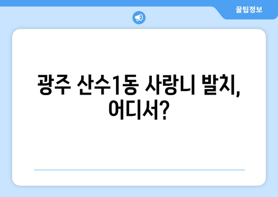 광주시 동구 산수1동 사랑니 치과 매복 발치 잘하는 곳 비용 | 후기 | 추천
