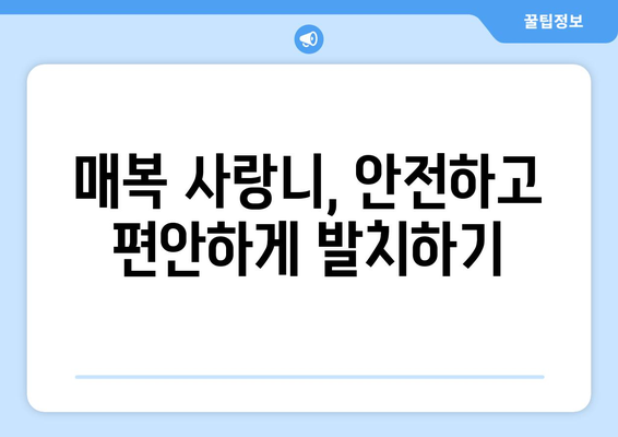 전라남도 함평군 대동면 사랑니 치과 매복 발치 잘하는 곳 비용 | 후기 | 추천